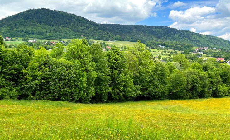 działka na sprzedaż - Limanowa (gw), Pisarzowa