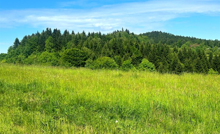 działka na sprzedaż - Tymbark, Zawadka