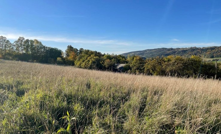 działka na sprzedaż - Limanowa (gw), Lipowe