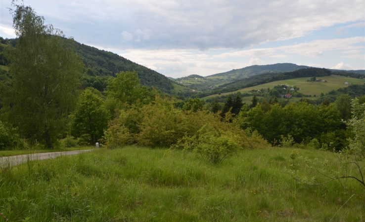 działka na sprzedaż - Laskowa