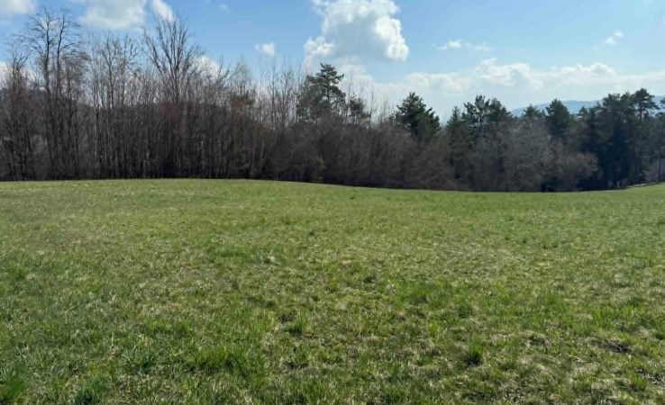 działka na sprzedaż - Limanowa (gw), Męcina