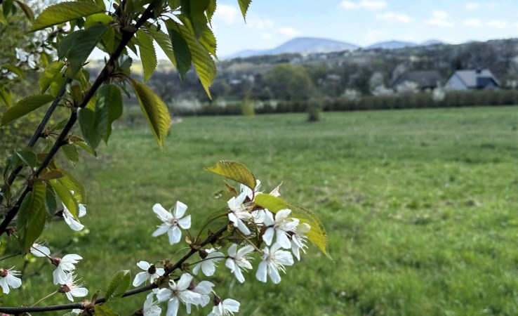 działka na sprzedaż - Dobra, Przenosza