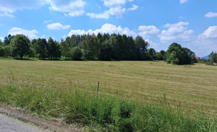 działka na sprzedaż - Limanowa (gw), Sowliny