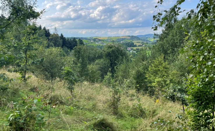 działka na sprzedaż - Łukowica, Przyszowa