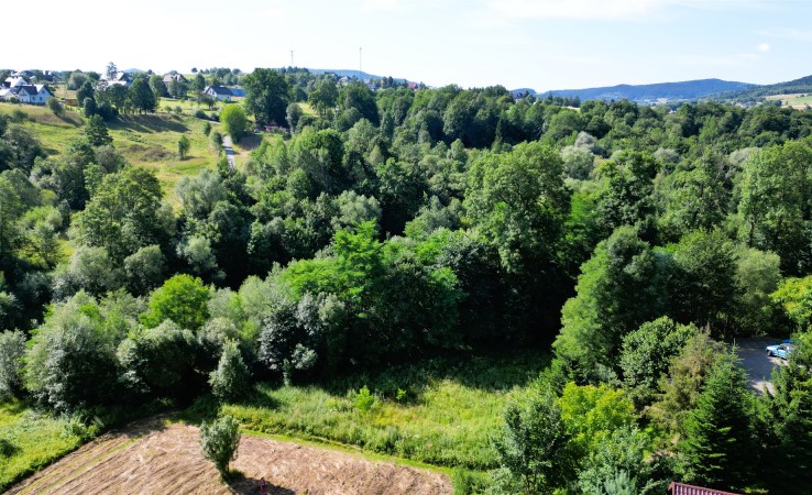 działka na sprzedaż - Słopnice