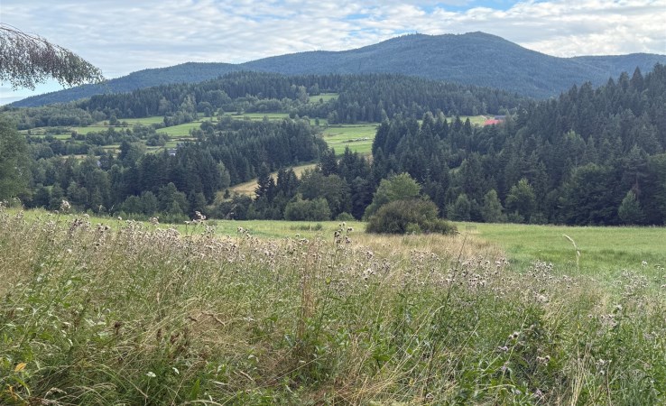 działka na sprzedaż - Dobra, Chyszówki