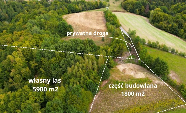działka na sprzedaż - Jodłownik, Szyk