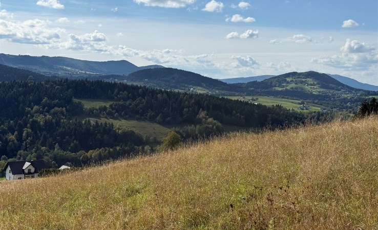 działka na sprzedaż - Limanowa (gw), Kanina