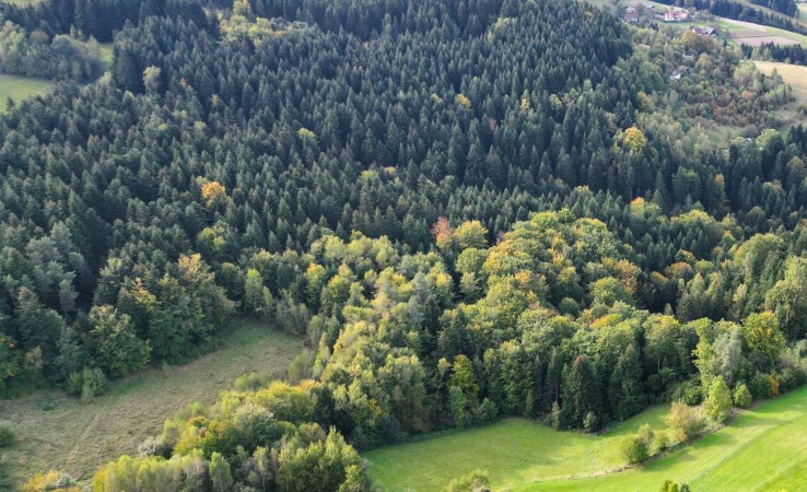 działka na sprzedaż - Limanowa (gw), Koszary